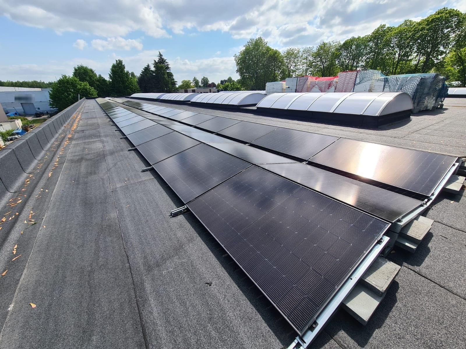Long rows of black solar panels on low ballasted frames across a flat commercial roof, rooflight domes and trees behind